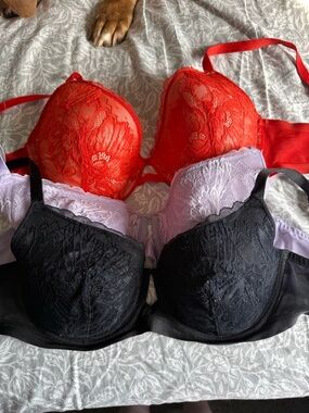 Soma Lace lightly lined Bra Set in Red, Lavender & Black